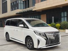 Trumpchi M8 Master Series 390T Premium Edition - фото 1