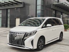 Trumpchi M8 Master Series 390T Premium Edition - фото 2