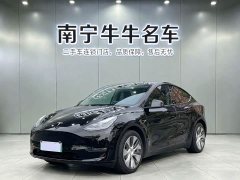 Tesla Model Y long-range all-wheel drive version - фото 1