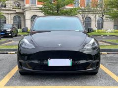 Tesla Model Y long-range all-wheel drive version - фото 2