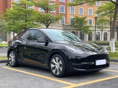 Tesla Model Y long-range all-wheel drive version - фото 3