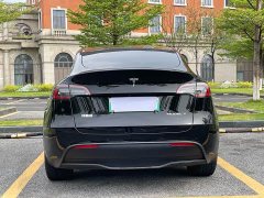 Tesla Model Y long-range all-wheel drive version - фото 5