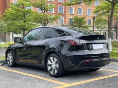 Tesla Model Y long-range all-wheel drive version - фото 6