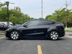 Tesla Model Y long-range all-wheel drive version - фото 7