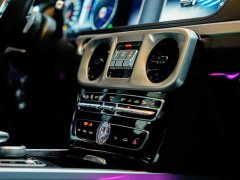 Mercedes-Benz G-Class G 350 - фото 16