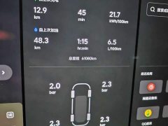 Li Auto Ideal L9 2022 Max - фото 9