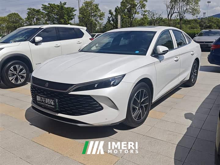 BYD Qin L 2024 DM-i 120KM transcendent