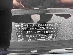 Lanjing 380TSI four-wheel drive luxury Jiajing Pro public 6 seats - фото 19