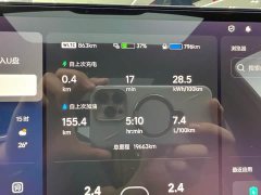 Li Auto Ideal L8 Max - фото 11