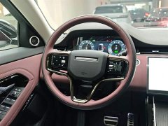 Land Rover Range Rover Evoque 2024 Range Rover Evoque L SE Yuguang Zunyao Edition - фото 14