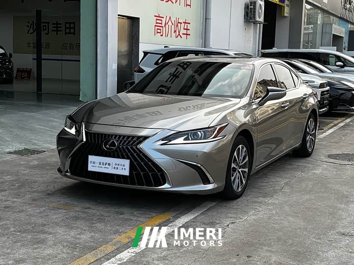 Lexus ES 2022 300h Excellence Edition - автомобиль из Китая