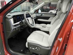 Lexus Santa Fe 2.0T Connoisseur Ultra - фото 12