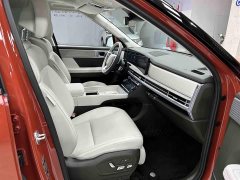Lexus Santa Fe 2.0T Connoisseur Ultra - фото 14