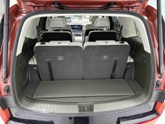 Lexus Santa Fe 2.0T Connoisseur Ultra - фото 17