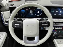 Lexus Santa Fe 2.0T Connoisseur Ultra - фото 3