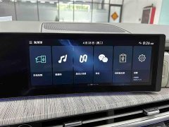 Lexus Santa Fe 2.0T Connoisseur Ultra - фото 7