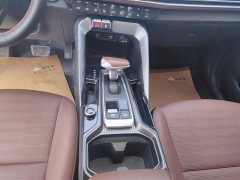 Lynk & Co Zhipao 2021 Ace 2.0L Wonderful Edition - фото 16