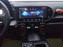 Haval Big Dog 1.5T DCT two-wheel drive Border Collie version - фото 13