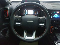 Haval Big Dog 1.5T DCT two-wheel drive Border Collie version - фото 15