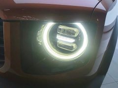 Haval Big Dog 1.5T DCT two-wheel drive Border Collie version - фото 5