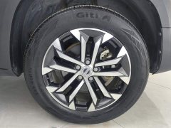 Haval Big Dog 1.5T DCT two-wheel drive Border Collie version - фото 6