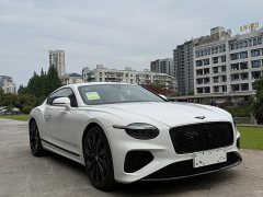 Bentley Continental 4.0L automatic - фото 9