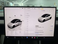 Tesla Model Y rear-wheel drive version - фото 11