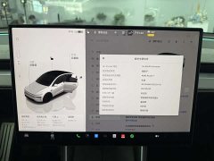 Tesla Model Y rear-wheel drive version - фото 12
