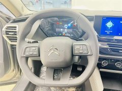 Lexus Versailles C5 X 1.6T overseas version - фото 10