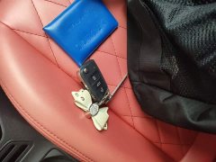 Lynk & Co Tanying 1.5L Automatic Yuezhi Connected Edition - фото 9