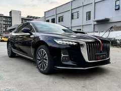 Hongqi H5 2025 2.0T automatic Qichang version - фото 3
