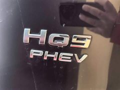 Hongqi HQ9 PHEV 2.0T AWD Business Edition - фото 9
