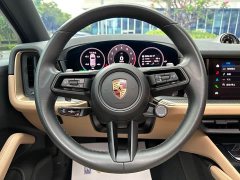 Porsche Cayenne 3.0T Jinchi Edition - фото 10
