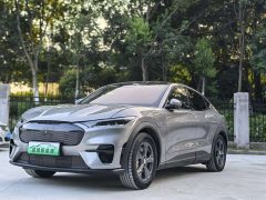 Ford Electric Horse 2021 Rear-wheel drive version (standard range) - фото 1