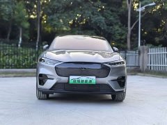 Ford Electric Horse 2021 Rear-wheel drive version (standard range) - фото 2