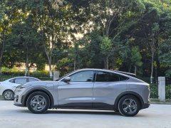 Ford Electric Horse 2021 Rear-wheel drive version (standard range) - фото 3