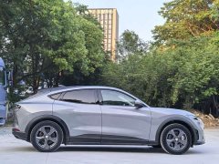 Ford Electric Horse 2021 Rear-wheel drive version (standard range) - фото 4