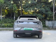 Ford Electric Horse 2021 Rear-wheel drive version (standard range) - фото 5