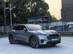 Ford Electric Horse 2021 Rear-wheel drive version (standard range) - фото 6