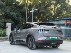 Ford Electric Horse 2021 Rear-wheel drive version (standard range) - фото 7
