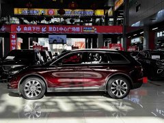 Lynk & Co Adventurer 2022 2.0T Two-wheel drive Premium Edition - фото 18