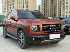 Haval Big Dog 1.5T DCT two-wheel drive Border Collie-Wangcai Edition - фото 3