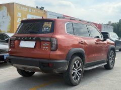 Haval Big Dog 1.5T DCT two-wheel drive Border Collie-Wangcai Edition - фото 7