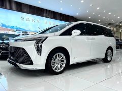 BYD Century 2023 2.0T seven-seat Yuanshi Edition - фото 2