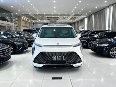 BYD Century 2023 2.0T seven-seat Yuanshi Edition - фото 3
