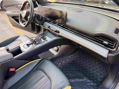 Trumpchi Shadow Leopard 2021 270T DCT J15 version - фото 11