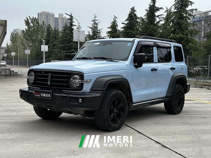 Tank 300 2.0T Tribute to Monet Limited Edition - автомобиль из Китая