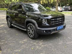 Haval Big Dog 1.5T DCT two-wheel drive Border Collie-Wangcai Edition - фото 11