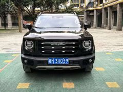 Haval Big Dog 1.5T DCT two-wheel drive Border Collie-Wangcai Edition - фото 2