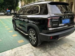 Haval Big Dog 1.5T DCT two-wheel drive Border Collie-Wangcai Edition - фото 4